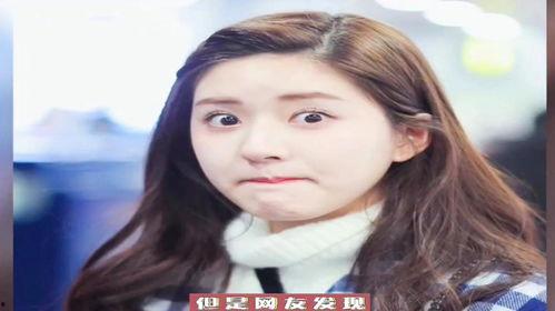 娱乐圈吃瓜赵露思